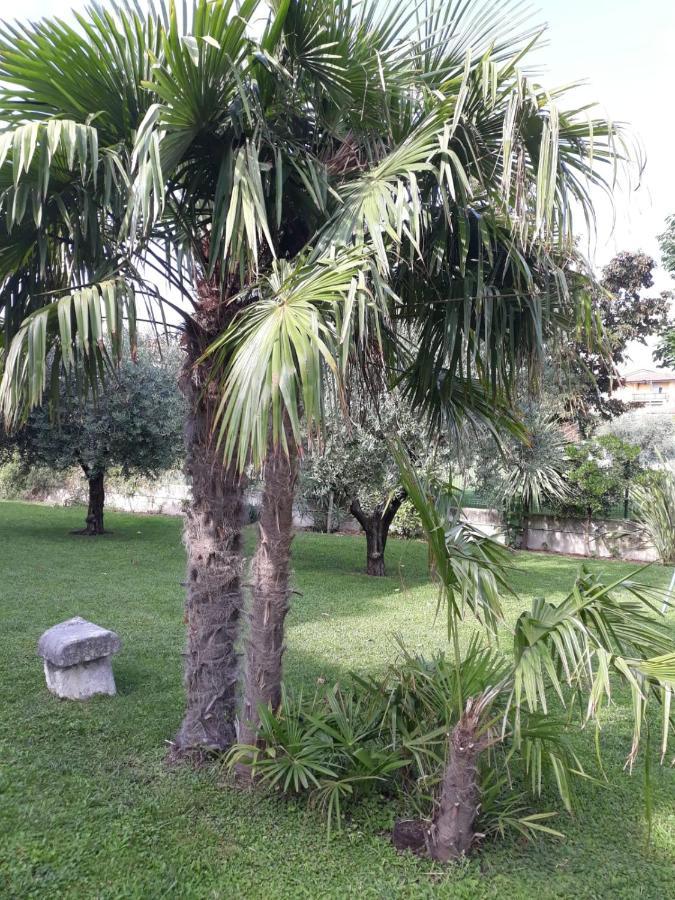 Appartamento Greta Cavaion Veronese Esterno foto